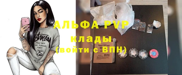 хмурый Алексин