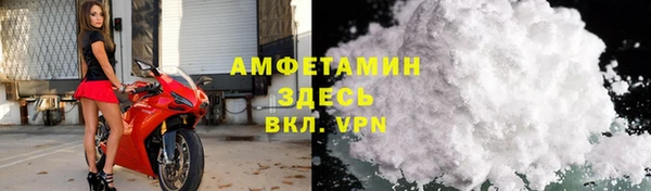 хмурый Алексин