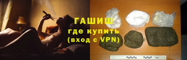 хмурый Алексин