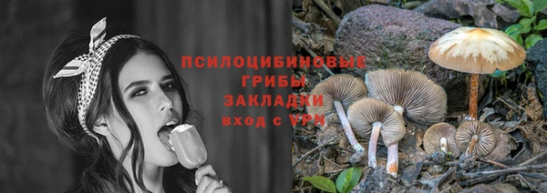 молекула духа Алексеевка
