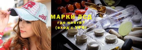 хмурый Алексин