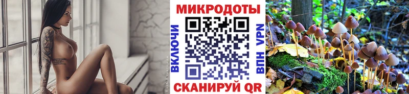 Псилоцибиновые грибы ЛСД  площадка Telegram  блэк спрут ссылка  Зеленоградск  цены наркотик 